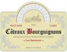Les Sarments - Coteaux Bourguignons Rouge 2020 (750)